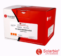 核仁组成区嗜银蛋白染色液(AgNOR Stain)