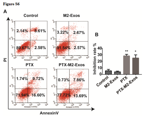 文献解读：超声法进行外泌体载药