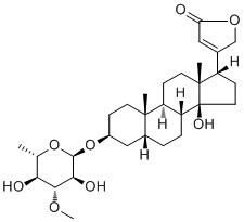 17α-Neriifolin7044-31-7