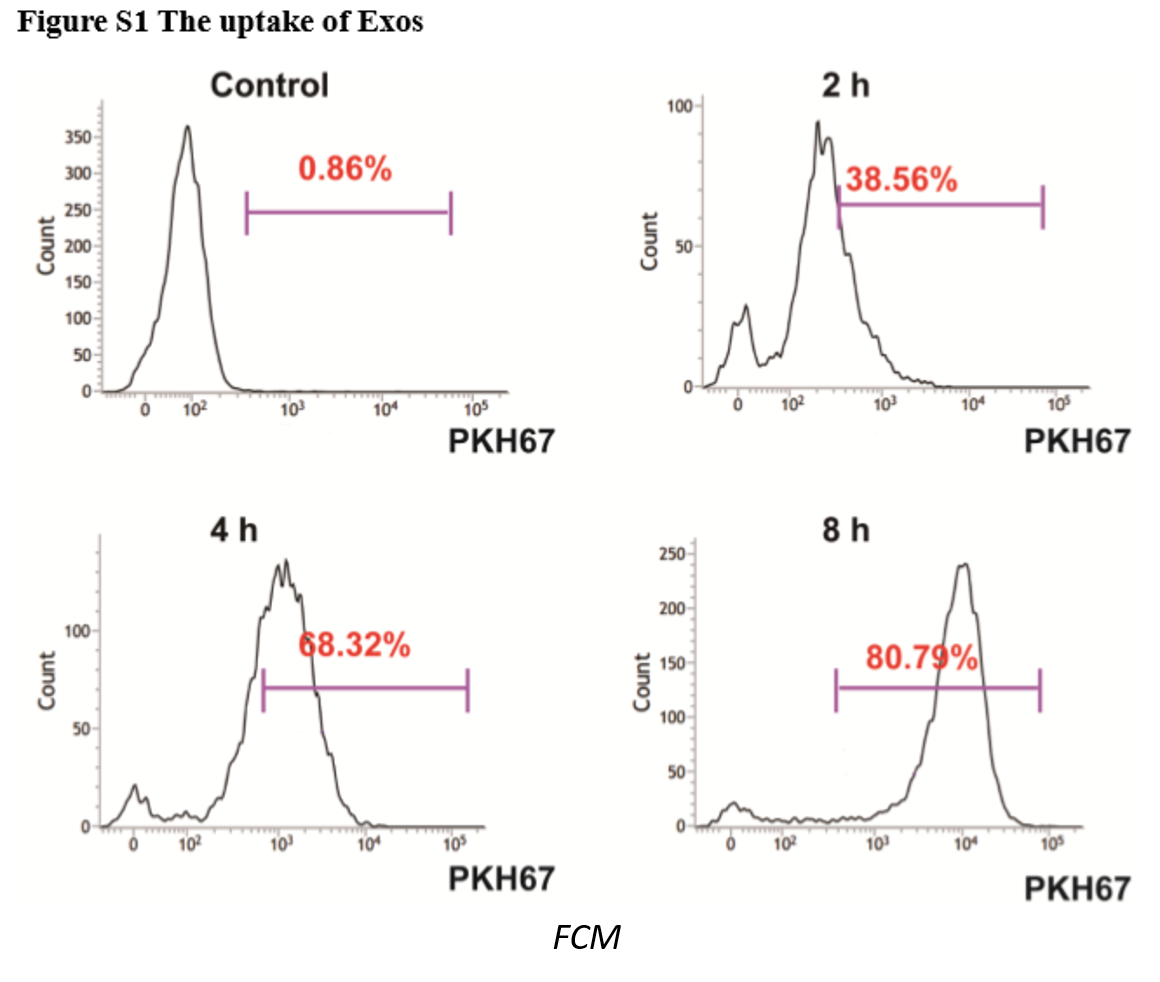 文献解读：超声法进行外泌体载药