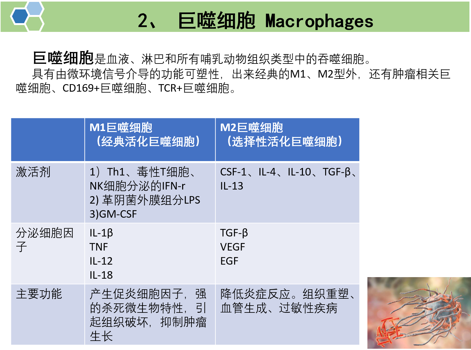 文献解读：超声法进行外泌体载药