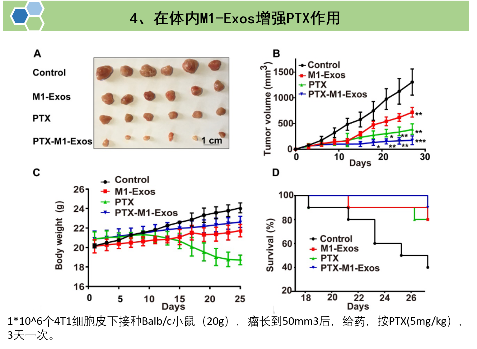 文献解读：超声法进行外泌体载药
