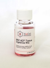 MSC ACF Tissue Digestive Mix  ACF高效原代间充质干细胞分离液  C35010020/C35010100