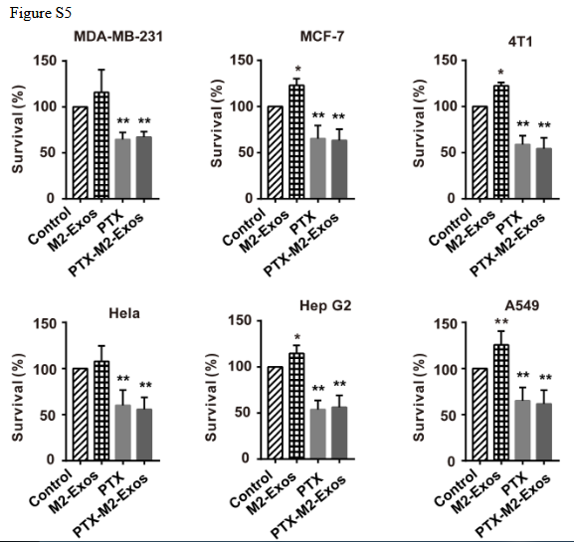 文献解读：超声法进行外泌体载药
