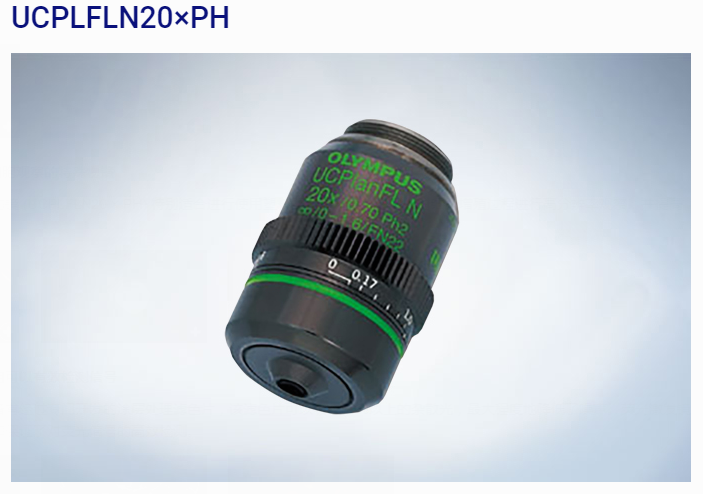 OLYMPUS IX53显微镜