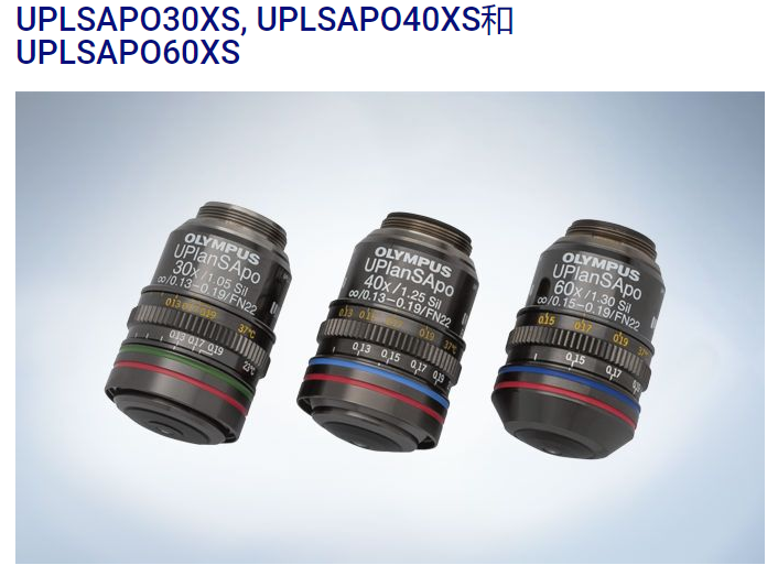 OLYMPUS IX53显微镜