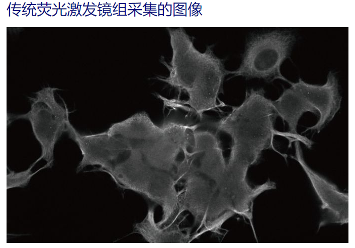 OLYMPUS IX53显微镜