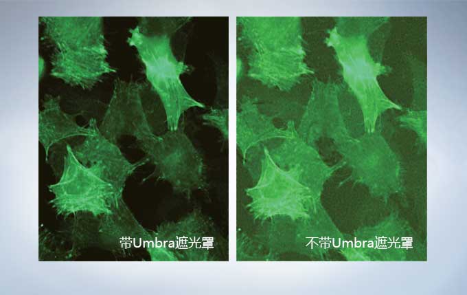 产品细节图片17