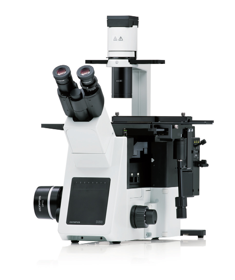 OLYMPUS IX53显微镜