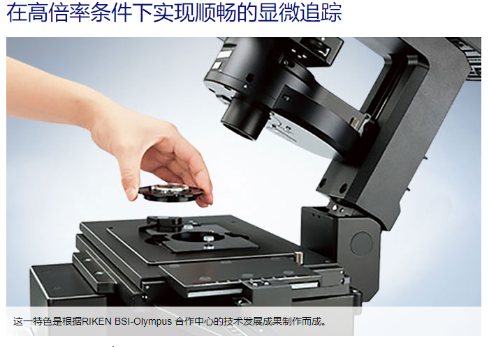 OLYMPUS IX53显微镜