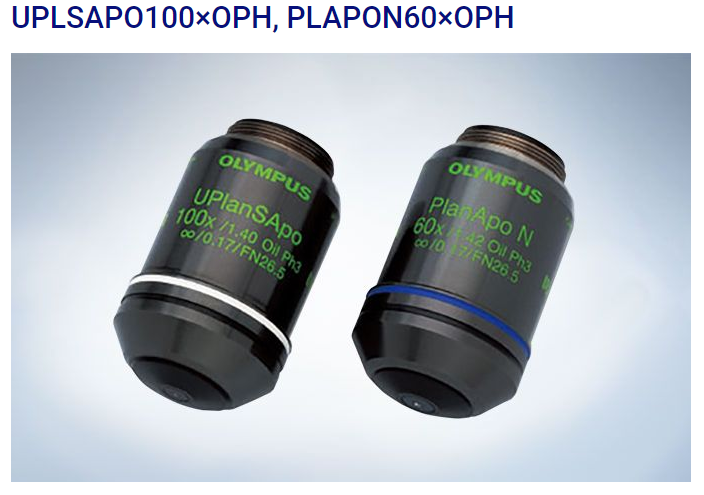 OLYMPUS IX53显微镜