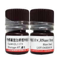血管通透性测试(伊文思蓝)染液北京供应商