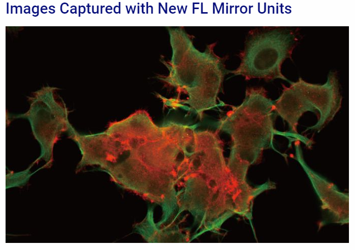 OLYMPUS IX53显微镜