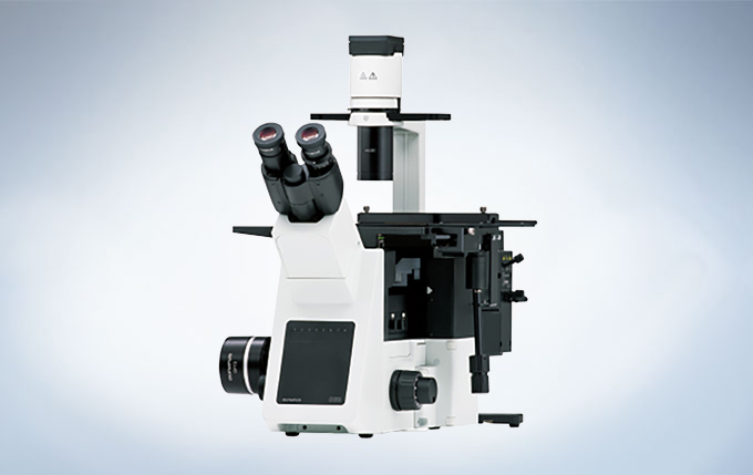 OLYMPUS IX53显微镜