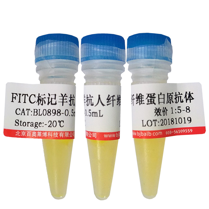 羊抗人白蛋白-RBITC价格