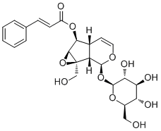 6-O-Cinnamoylcatalpol136807-41-5