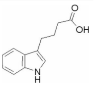 3-吲哚丁酸