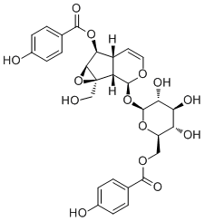 6'-O-p-Hydroxybenzoylcatalposide355143-38-3