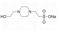N-(2-羟乙基)哌嗪-N-乙磺酸钠盐