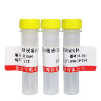 兔抗幽门螺杆菌尿素酶(HPU)抗体北京厂家