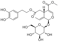 Oleuropein32619-42-4