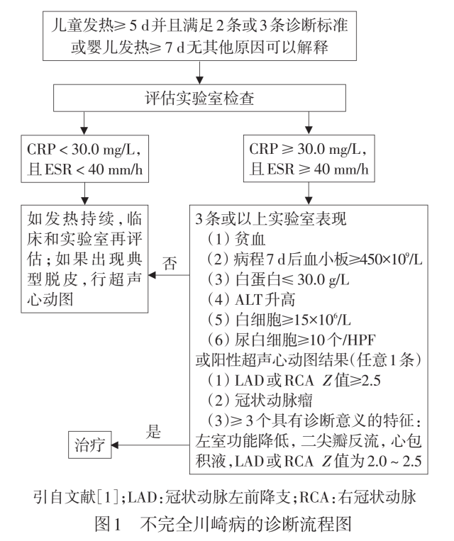 川崎病发病机制图片