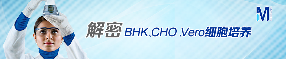 BHK、CHO、Vero细胞培养解密