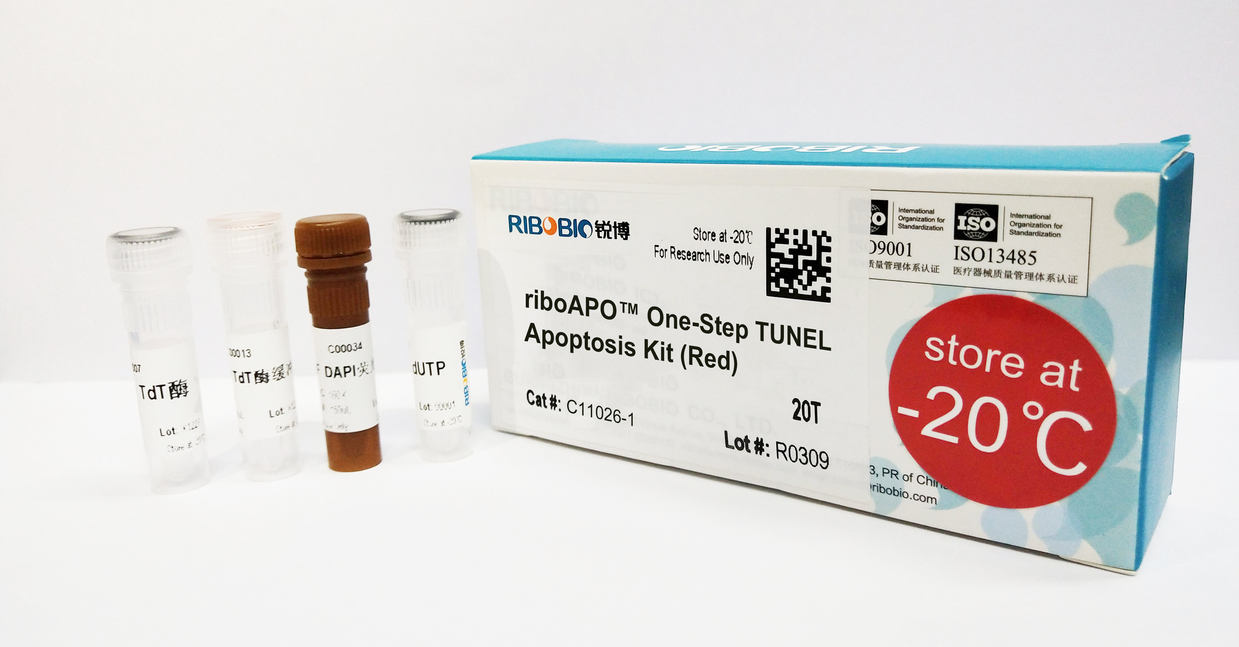 一步法TUNEL细胞凋亡检测试剂盒