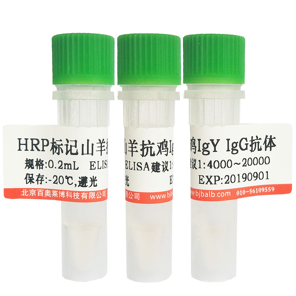 HRP标记前列腺特异性抗原(HRP-PSA)多肽