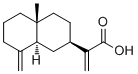 β-Costic acid3650-43-9