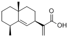 Pterodontic acid185845-89-0