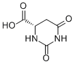 L-Dihydroorotic acid图片