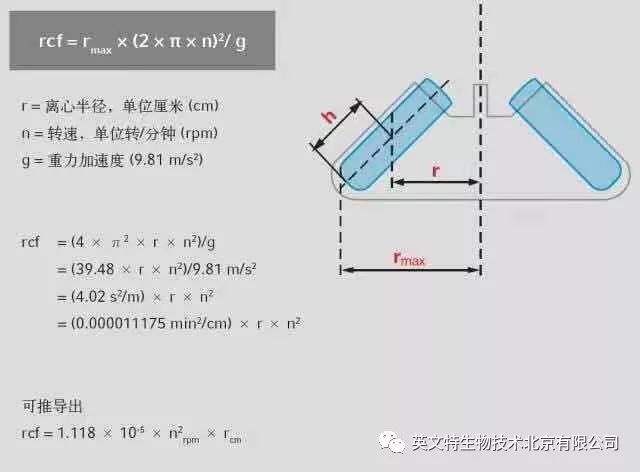 【实验技巧】如何正确使用离心机---那些年你该学会的实验系列（十一）