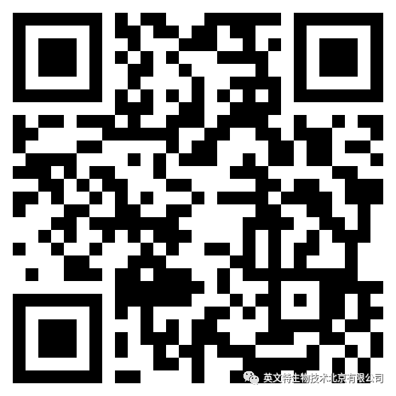WB内参条带调不齐是怎么回事？