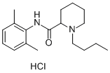 Bupivacaine hydrochloride进口