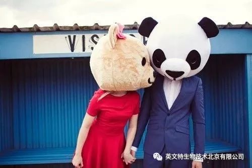 科研单身狗，七夕我来拯救你的磷酸化蛋白WB！