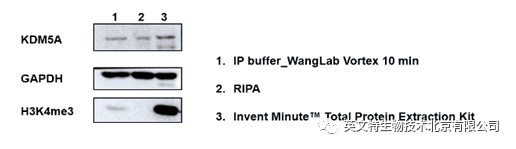 目的蛋白是核蛋白,我该拿它怎么办?