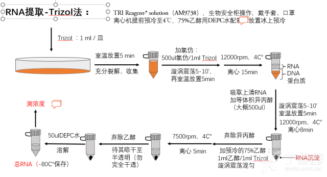 货真价实的一贴详情-PCR - PCR技术讨论版 -丁香园论坛