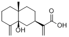 5β-Hydroxycostic acid132185-84-3