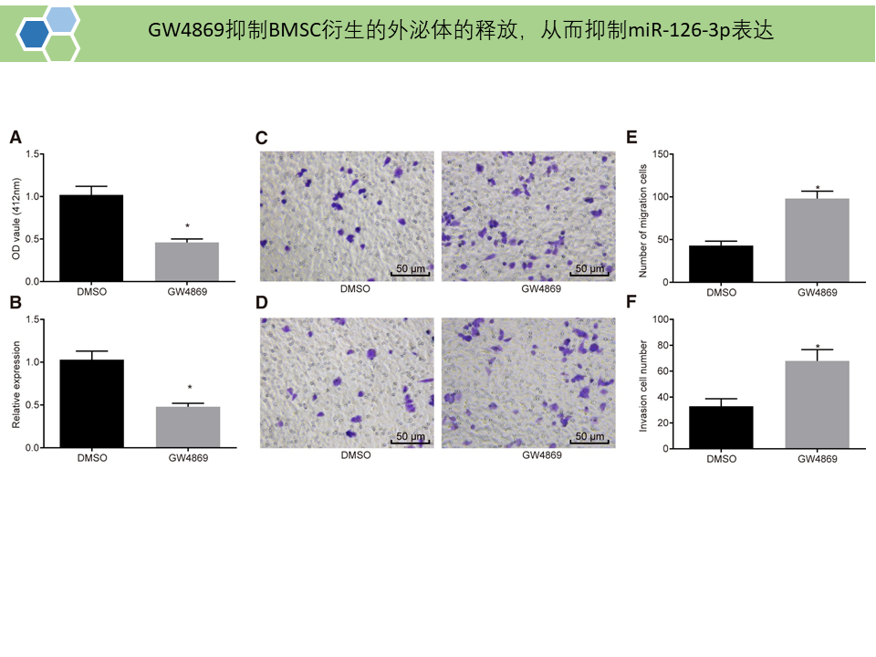 BMSCs分泌的外泌体携带的miR-126-3p通过靶向作用ADAM9进而抑制胰腺癌的发展