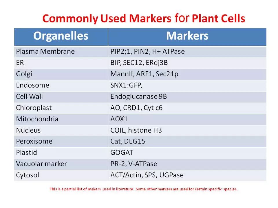 undefined 【实验技巧】WB内参选择指南---那些年你该学会的实验系列(三)