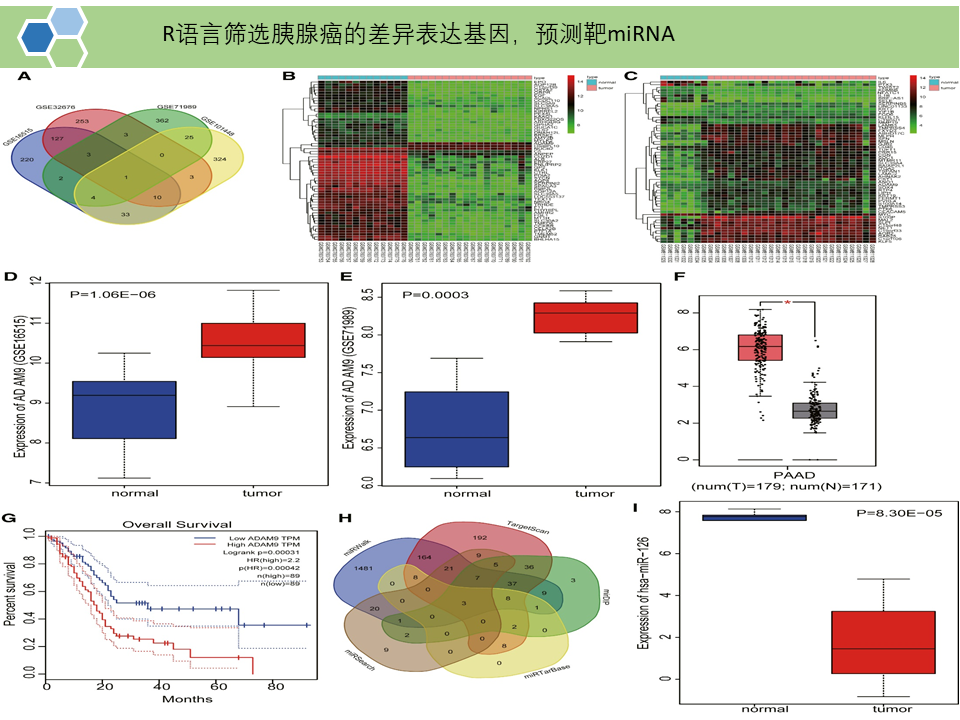 BMSCs分泌的外泌体携带的miR-126-3p通过靶向作用ADAM9进而抑制胰腺癌的发展