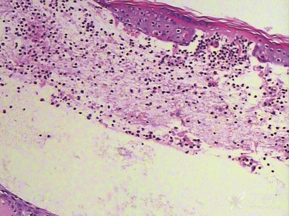 你的判断是? 答案已公布,见7楼