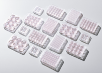 美国nunc无菌细胞培养板中国总代理