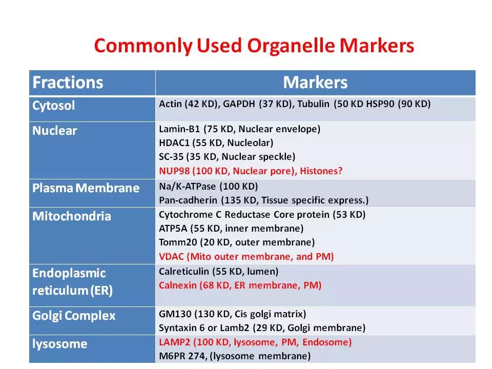 【实验技巧】WB内参选择指南---那些年你该学会的实验系列（三）