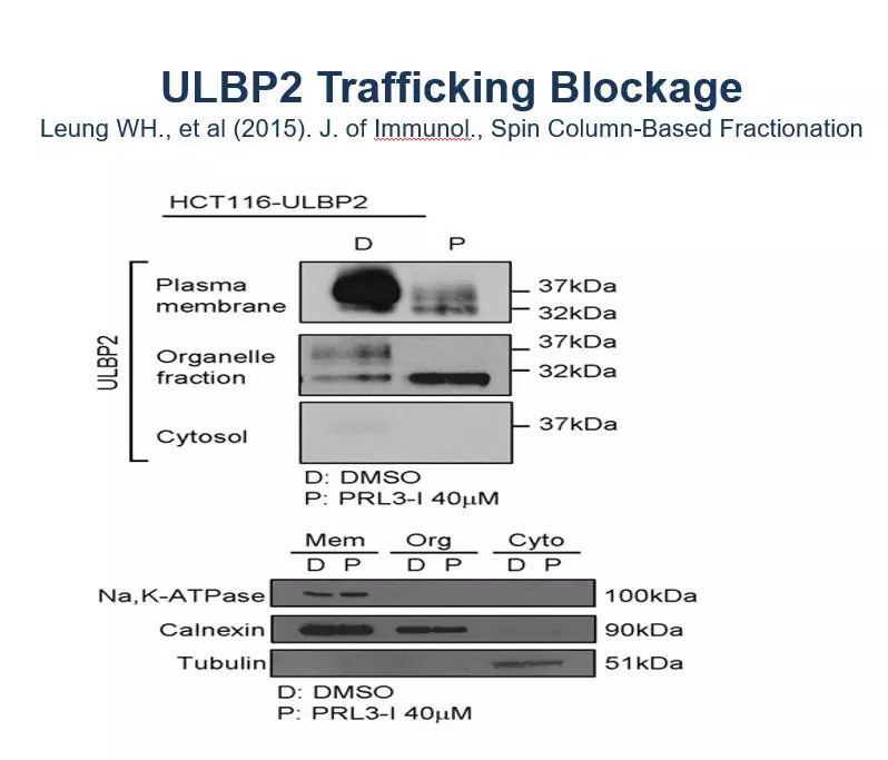 undefined 【实验技巧】WB内参选择指南---那些年你该学会的实验系列(三)