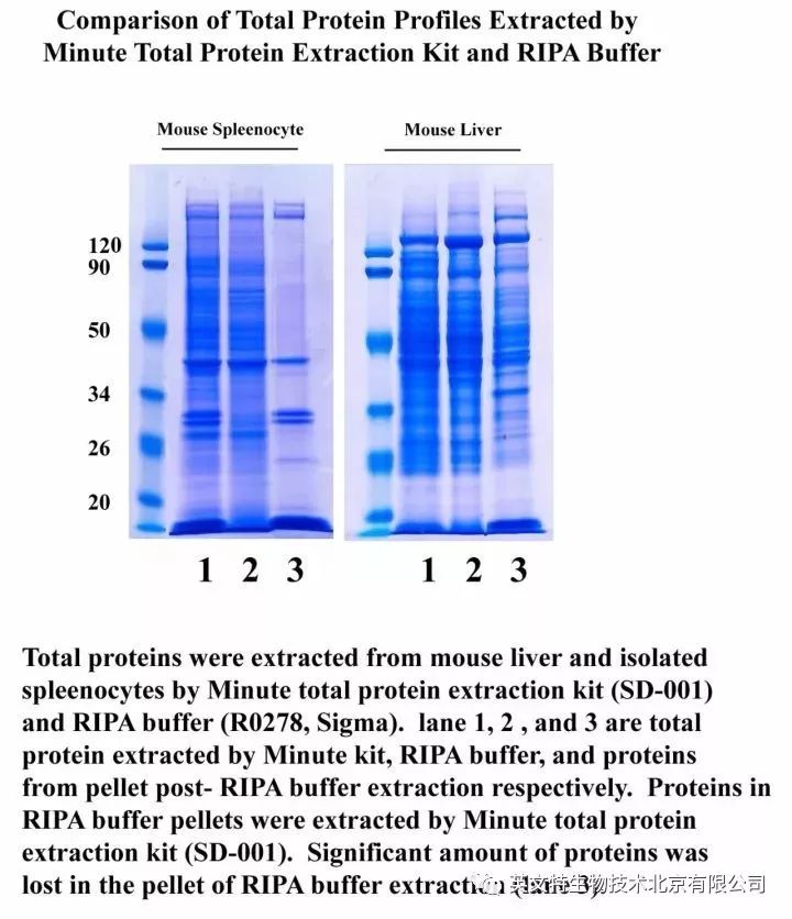 RIPA不是万能的！