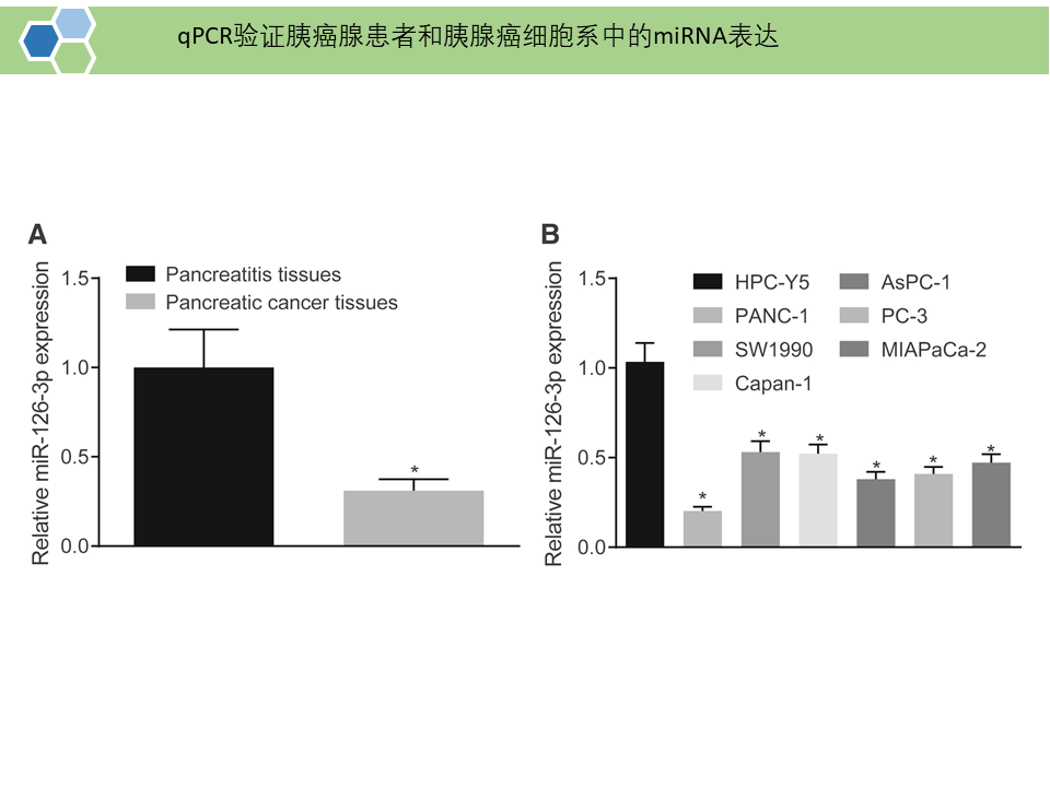 BMSCs分泌的外泌体携带的miR-126-3p通过靶向作用ADAM9进而抑制胰腺癌的发展