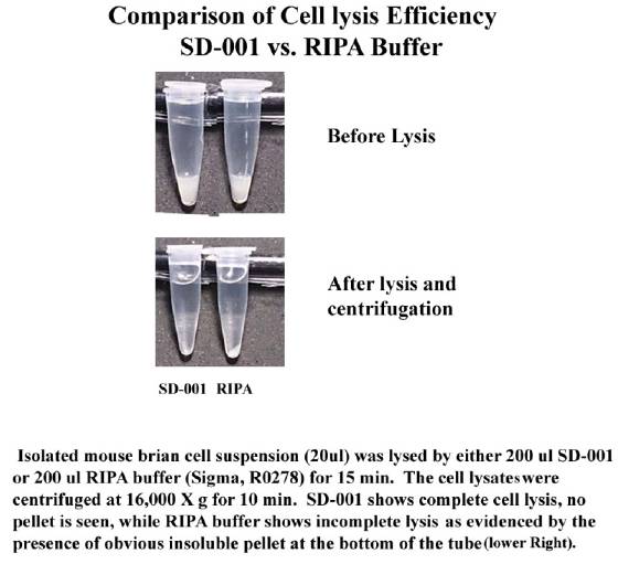 RIPA不是万能的！