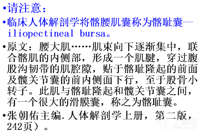 还是髂腰肌囊?还是.